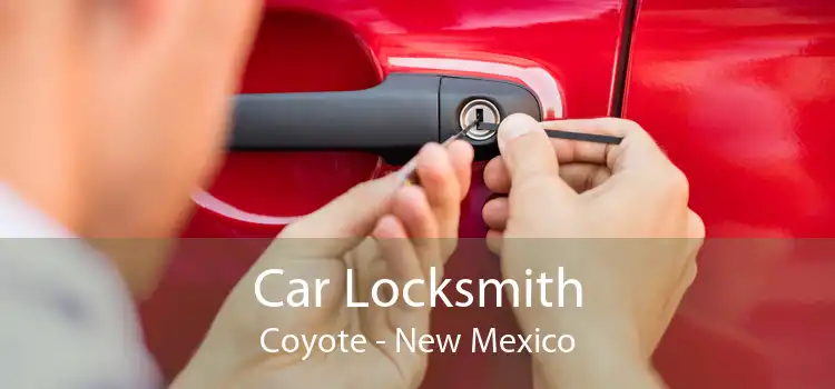 Car Locksmith Coyote - New Mexico