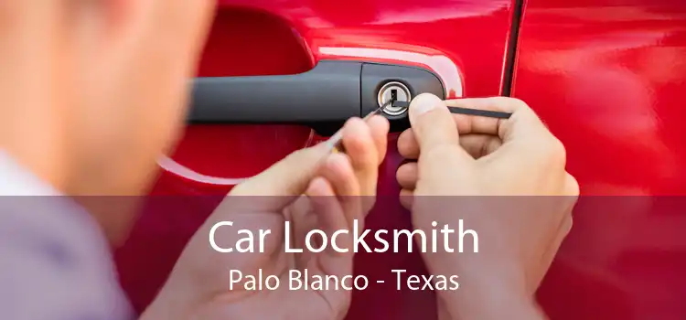Car Locksmith Palo Blanco - Texas