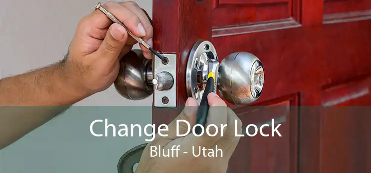 Change Door Lock Bluff - Utah