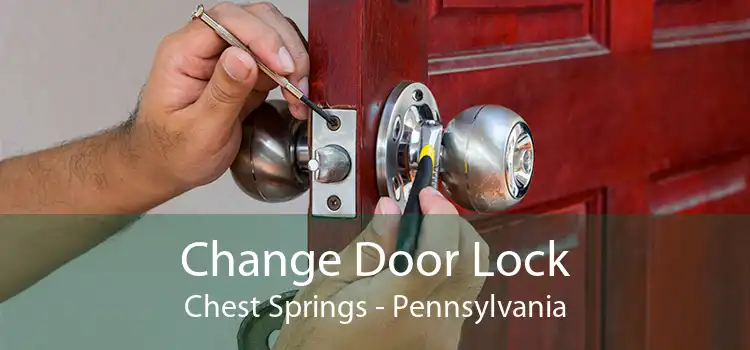 Change Door Lock Chest Springs - Pennsylvania