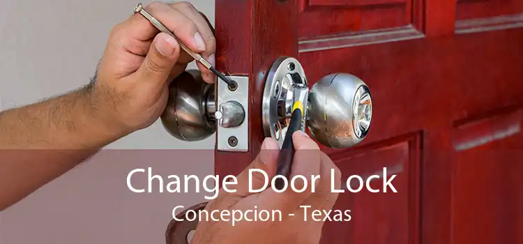 Change Door Lock Concepcion - Texas