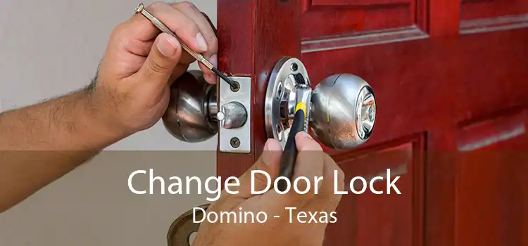 Change Door Lock Domino - Texas