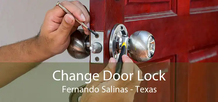Change Door Lock Fernando Salinas - Texas