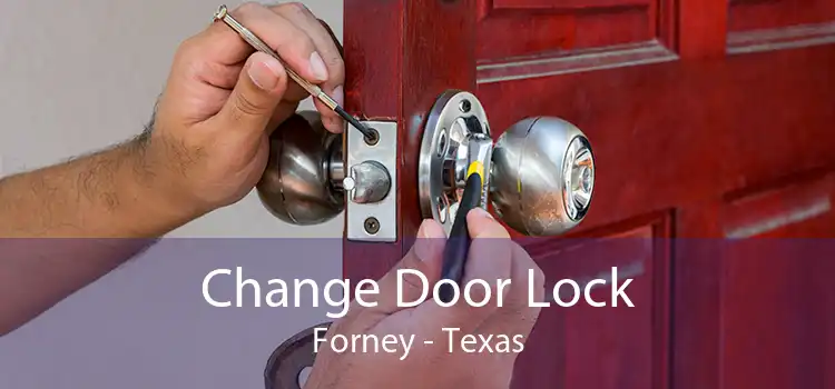 Change Door Lock Forney - Texas