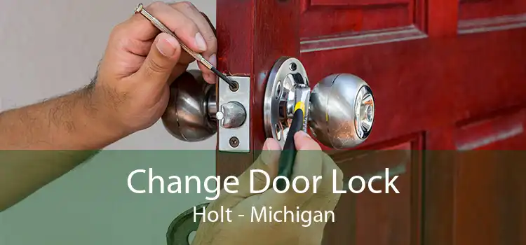 Change Door Lock Holt - Michigan