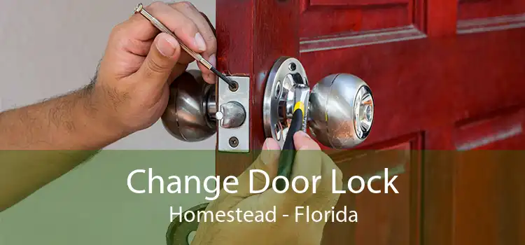 Change Door Lock Homestead - Florida