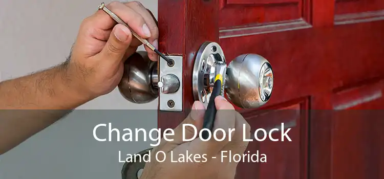Change Door Lock Land O Lakes - Florida