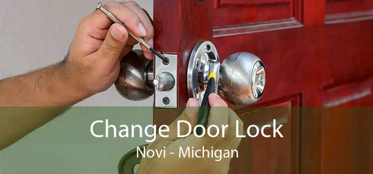 Change Door Lock Novi - Michigan