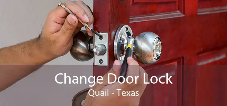 Change Door Lock Quail - Texas