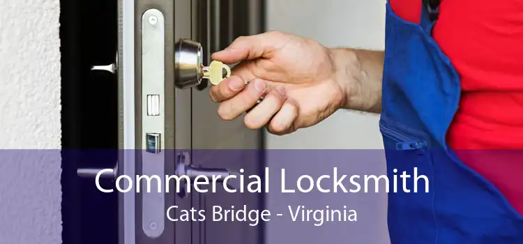Commercial Locksmith Cats Bridge - Virginia