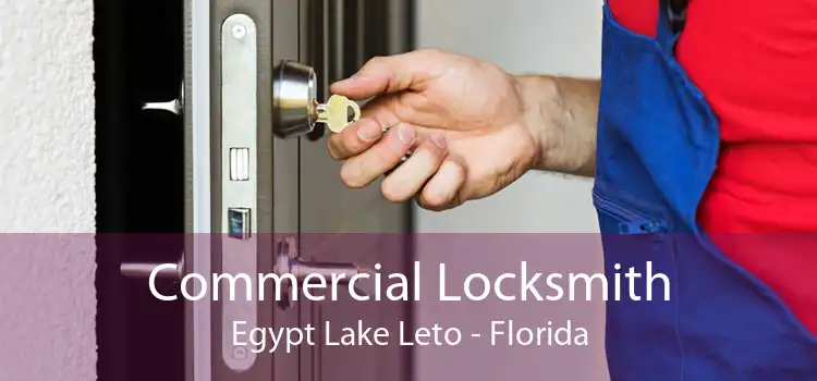 Commercial Locksmith Egypt Lake Leto - Florida