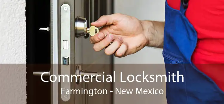 Commercial Locksmith Farmington - New Mexico