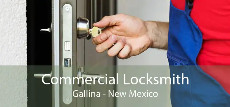 Commercial Locksmith Gallina - New Mexico
