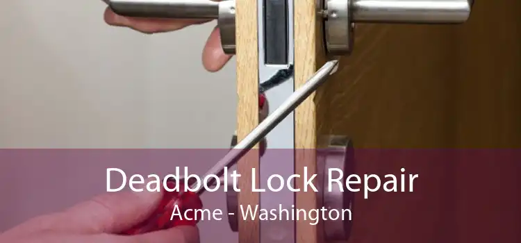 Deadbolt Lock Repair Acme - Washington