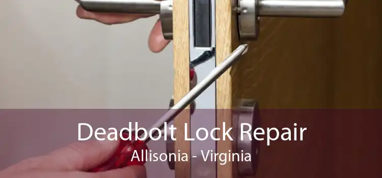 Deadbolt Lock Repair Allisonia - Virginia