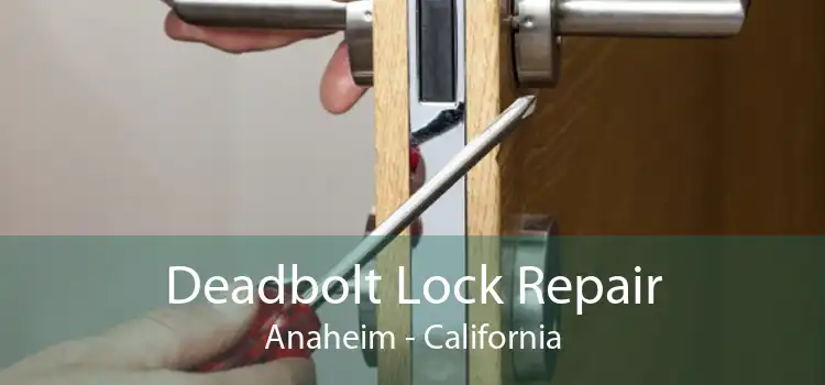 Deadbolt Lock Repair Anaheim - California