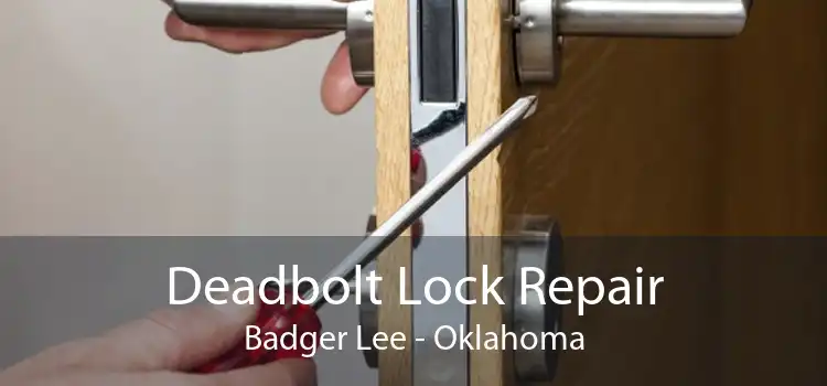 Deadbolt Lock Repair Badger Lee - Oklahoma
