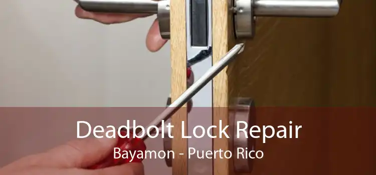 Deadbolt Lock Repair Bayamon - Puerto Rico