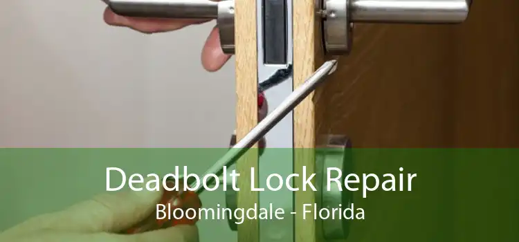 Deadbolt Lock Repair Bloomingdale - Florida