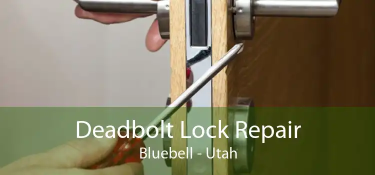 Deadbolt Lock Repair Bluebell - Utah