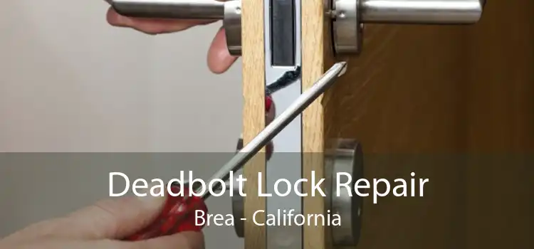 Deadbolt Lock Repair Brea - California