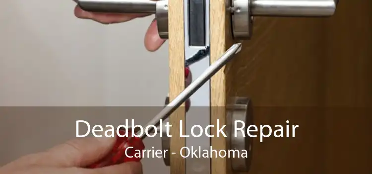 Deadbolt Lock Repair Carrier - Oklahoma