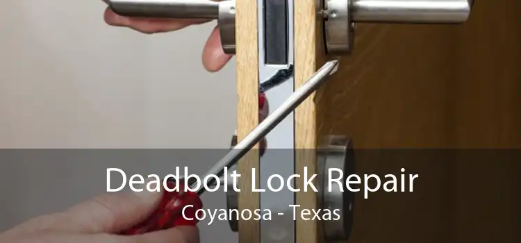 Deadbolt Lock Repair Coyanosa - Texas