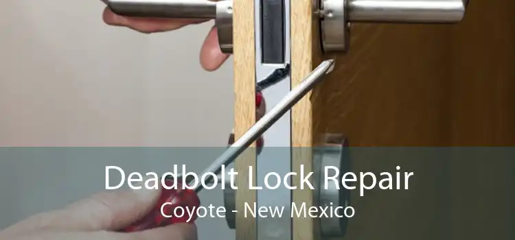 Deadbolt Lock Repair Coyote - New Mexico