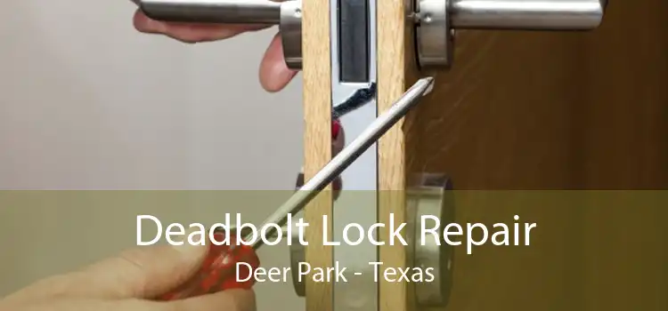 Deadbolt Lock Repair Deer Park - Texas