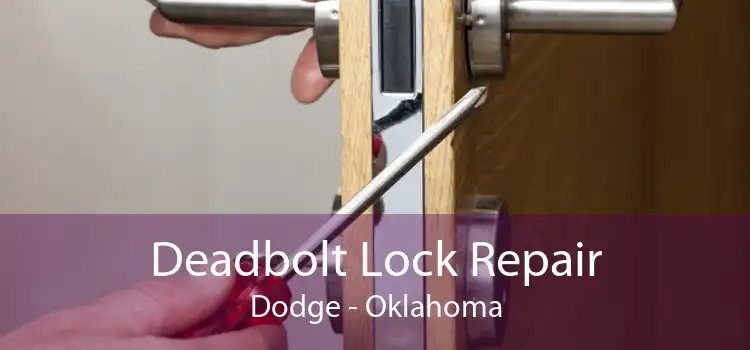 Deadbolt Lock Repair Dodge - Oklahoma