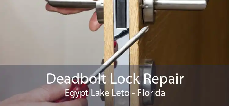 Deadbolt Lock Repair Egypt Lake Leto - Florida