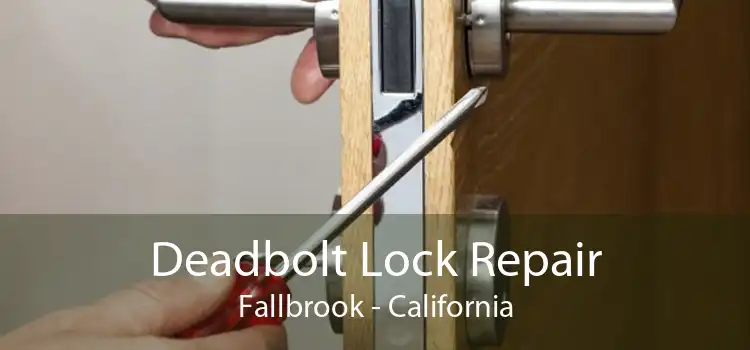 Deadbolt Lock Repair Fallbrook - California