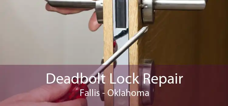 Deadbolt Lock Repair Fallis - Oklahoma