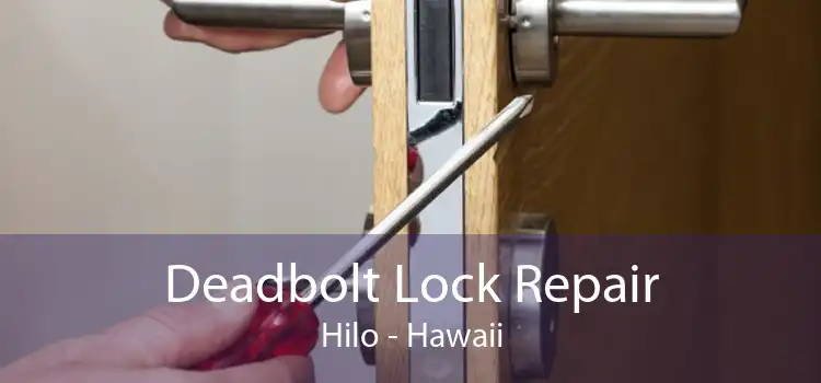 Deadbolt Lock Repair Hilo - Hawaii