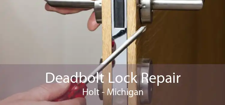 Deadbolt Lock Repair Holt - Michigan