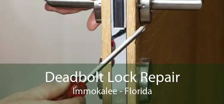 Deadbolt Lock Repair Immokalee - Florida