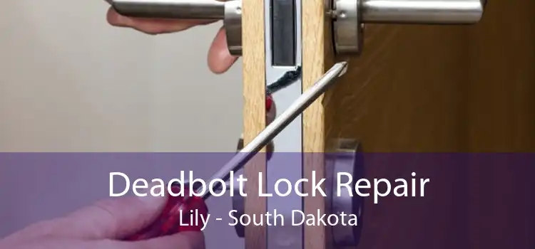 Deadbolt Lock Repair Lily - South Dakota