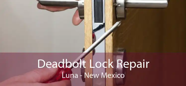 Deadbolt Lock Repair Luna - New Mexico