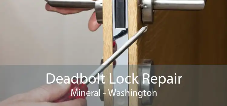 Deadbolt Lock Repair Mineral - Washington