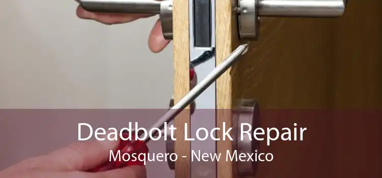 Deadbolt Lock Repair Mosquero - New Mexico