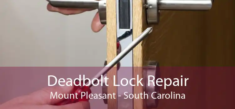 Deadbolt Lock Repair Mount Pleasant - South Carolina