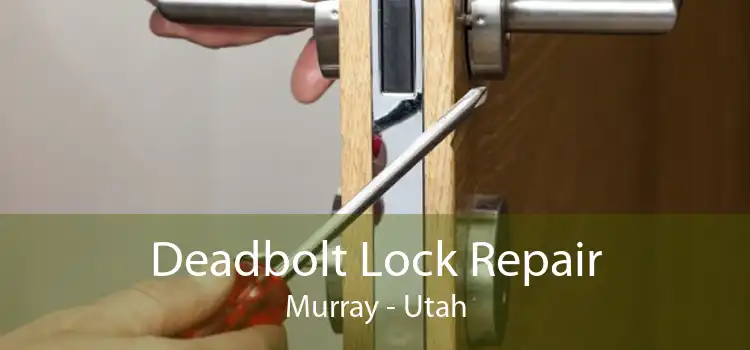 Deadbolt Lock Repair Murray - Utah