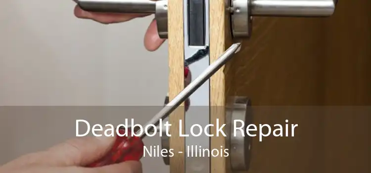 Deadbolt Lock Repair Niles - Illinois