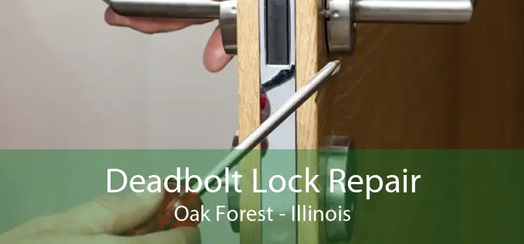 Deadbolt Lock Repair Oak Forest - Illinois