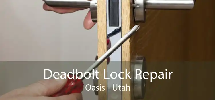 Deadbolt Lock Repair Oasis - Utah