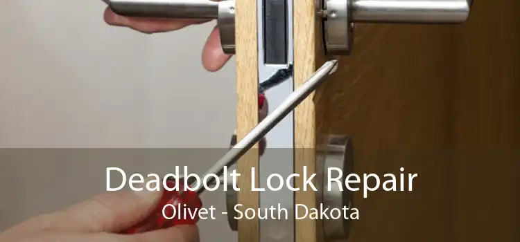Deadbolt Lock Repair Olivet - South Dakota