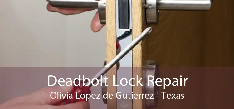 Deadbolt Lock Repair Olivia Lopez de Gutierrez - Texas