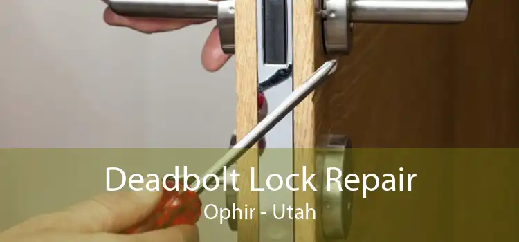 Deadbolt Lock Repair Ophir - Utah
