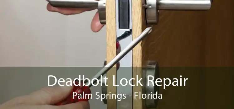 Deadbolt Lock Repair Palm Springs - Florida