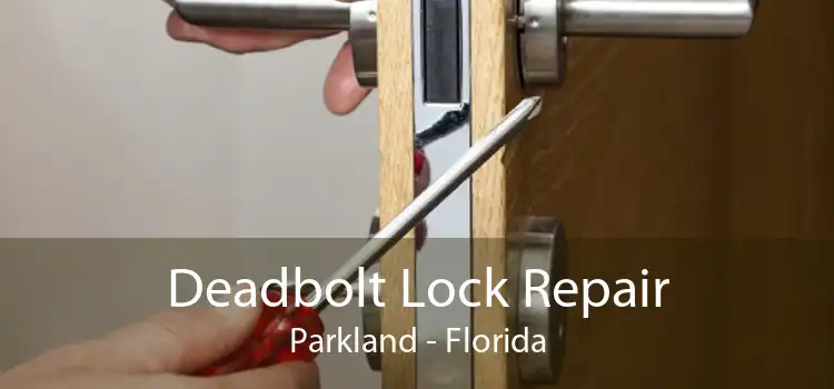 Deadbolt Lock Repair Parkland - Florida